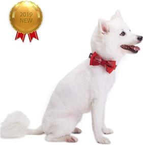 img 3 attached to 🎄 Christmas Luxurious Dog Collars with Bowtie Set from Blueberry Pet