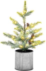 img 4 attached to Mini Pre-Decorated Tabletop Christmas Tree with Lights, Pinecones - 12 inches