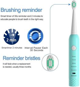 img 2 attached to Toothbrushes Waterproof Rechargeable Replacement Toothbrush Oral Care and Toothbrushes & Accessories