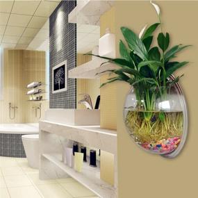 img 4 attached to 🐠 PRUGNA Wall-Hanging Fish Bowl: Stylish Acrylic Wall-Mounted Plant Pot and 1 Gallon Fish Tank - 11.5" Decoration Planter