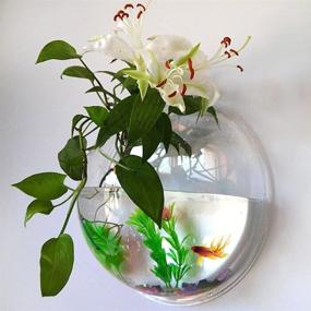 img 3 attached to 🐠 PRUGNA Wall-Hanging Fish Bowl: Stylish Acrylic Wall-Mounted Plant Pot and 1 Gallon Fish Tank - 11.5" Decoration Planter