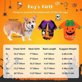 img 3 attached to 🎃 Hilarious Halloween Costume for Small Dogs and Cats: BWOGUE Dog Pumpkin Shirt!