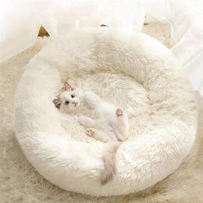 img 2 attached to 🛏️ Haitral Cozy Pet Bed