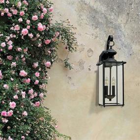 img 3 attached to Sea Gull Lighting Jamestowne Outdoor Wall Lantern - Two Light Fixture, Transitional Style, Black Finish