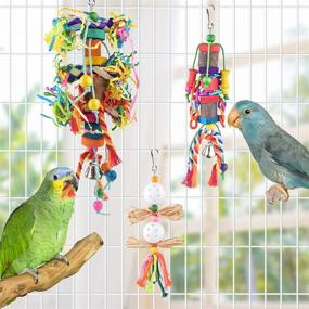 img 1 attached to 🐦 Colorful Bamboo Bird Toys for Parakeets, Conures, Cockatiels & More - KATUMO Small Bird Toys