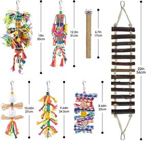 img 3 attached to 🐦 Colorful Bamboo Bird Toys for Parakeets, Conures, Cockatiels & More - KATUMO Small Bird Toys
