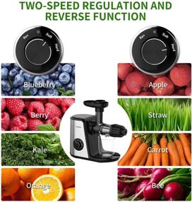 img 3 attached to 🍏 Bonsenkitchen Masticating Juicer Machine - Cold Press, Easy to Clean, BPA Free, Quiet Motor & Reverse Function, High Nutrition Reserve - Fruit & Vegetable Juice Extractor for Celery, Carrot