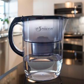 img 1 attached to 🚰 2022 Super Alkaline Water Filter Pitcher: The Ultimate Solution for Improved Life - Hassle-Free Usage, No More Timer Settings - High-Quality Water Purifier featuring Replaceable Ionizer Alkaline Filter