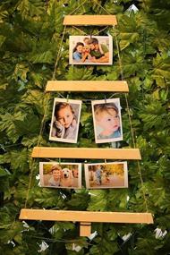 img 1 attached to Pixogo Pine Tree Family Tree Picture Frame Collage: Wall Hanging Photo Display with 15 Clips, String Light, and Christmas Decorations