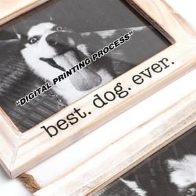 img 1 attached to 🐶 Dogs Wall Picture Frame: 5x7 Collage with String - Husky Dog & Shepherd Dog Pet Picture Frames Memorial Display Frame on Ropes - Ideal Wall Gifts for Home and Office