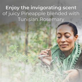 img 3 attached to Air Wick Pineapple Freshener Essential Cleaning Supplies and Air Fresheners