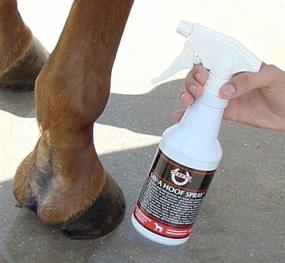 img 3 attached to 🐴 Effective Hoof Treatment: Explore SBS Equine Item 316, 16 fl. oz. Spray