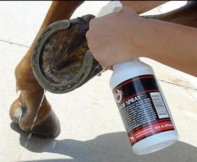 img 1 attached to 🐴 Effective Hoof Treatment: Explore SBS Equine Item 316, 16 fl. oz. Spray