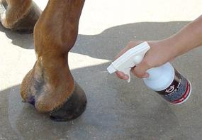 img 2 attached to 🐴 Effective Hoof Treatment: Explore SBS Equine Item 316, 16 fl. oz. Spray