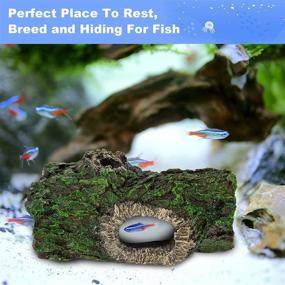 img 3 attached to 🌳 AQQA Aquarium Trunk Decoration: Resin Hideout Cave for Betta Fish, Reptiles, and Turtles - Hollow Tree Log Trunk Ornament
