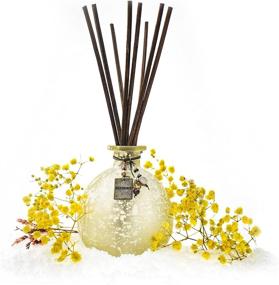 img 4 attached to OneSky Chamomile Sandalwood Decorations Fragrance