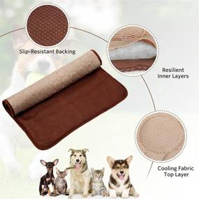 img 1 attached to 🐾 Stay Cool All Summer with Washable Pet Cooling Bed Mats for Dogs and Cats - Indoor and Outdoor Comfort, Breathable and Ice Silk Sleep Mat for Hot Weather