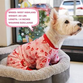 img 1 attached to 🎅 KYEESE Dog Pajamas Christmas: Santa Claus Dog Onesie for Small to Medium Sized Dogs - Soft & Stretchable Holiday Attire