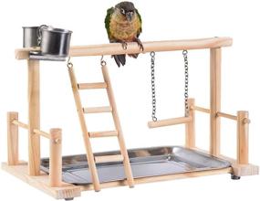 img 4 attached to 🐦 Hamiledyi Bird Playground: Parrot Play Stand with 2 Feeder Cups, Ladder, Swing Toys - Ideal Activity Center for Cockatiels, Lovebirds, Parakeets, Parrots, Conures