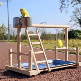 img 3 attached to 🐦 Hamiledyi Bird Playground: Parrot Play Stand with 2 Feeder Cups, Ladder, Swing Toys - Ideal Activity Center for Cockatiels, Lovebirds, Parakeets, Parrots, Conures