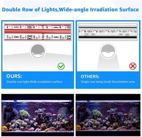 img 3 attached to 🐠 IREENUO 20-60 Gallon Submersible Aquarium Light with Auto On/Off Timer - Fish Tank Light, 12 Color Changing RGB Lighting, Underwater Fish Lamp