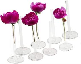 img 4 attached to 🌷 Chive - Set of 8 Petite Clear Glass Bud Vases, Perfect for Displaying Short Flowers, 5 Inches Tall
