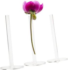 img 3 attached to 🌷 Chive - Set of 8 Petite Clear Glass Bud Vases, Perfect for Displaying Short Flowers, 5 Inches Tall