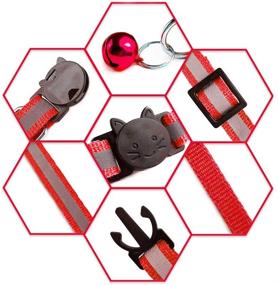 img 2 attached to Shop for D-BUY Cat Collars: Bell Cat Collars, Breakaway & Reflective Options, Nylon Collars with Bells - Ideal for Cats & Puppies