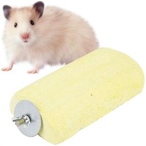 img 4 attached to Grinding Hamster Squirrel Calcium Platform