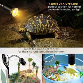 img 3 attached to 🦎 Jomddems Reptile Heat Lamp and UVB Light Combo with Holder, Switch, UVA UVB Reptile Lamp and Fixture for Lizard Turtle Snake Amphibian and Aquariaum (Includes 3bulbs) - E27, 110V