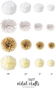 img 2 attached to 🎉 Vidal Crafts 20 Pcs Tissue Paper Pom Poms Kit: Stunning Wedding, Birthday, and Baby Shower Decorations