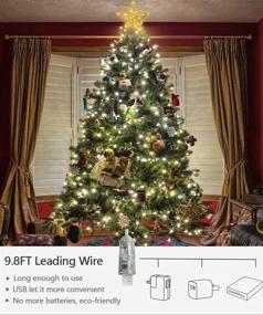 img 1 attached to 🎄 Raxurt Christmas Tree Topper: 40 LED USB Lighted Star with Remote Control - Gold, 11IN - Perfect Indoor Home Decor!