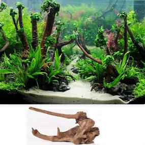 img 1 attached to 🐠 Enhance Your Aquarium with 5Pcs Driftwood Branches: Natural Habitat Décor for Fish Tank, Lizards - Assorted Sizes, Small