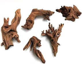 img 4 attached to 🐠 Enhance Your Aquarium with 5Pcs Driftwood Branches: Natural Habitat Décor for Fish Tank, Lizards - Assorted Sizes, Small