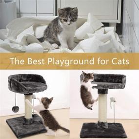 img 2 attached to ECOCONUT Scratching Kittens Activity Platform