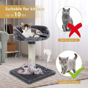 img 1 attached to ECOCONUT Scratching Kittens Activity Platform