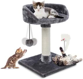 img 4 attached to ECOCONUT Scratching Kittens Activity Platform