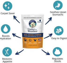 img 2 attached to Easy to Digest Bland Dog Food Diet for Sick Dogs with Electrolytes - Gluten Free, All Natural, Freeze Dried 100% Human Grade Meats - Multipack | Under the Weather