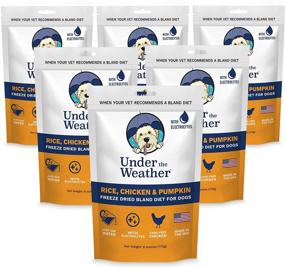 img 4 attached to Easy to Digest Bland Dog Food Diet for Sick Dogs with Electrolytes - Gluten Free, All Natural, Freeze Dried 100% Human Grade Meats - Multipack | Under the Weather