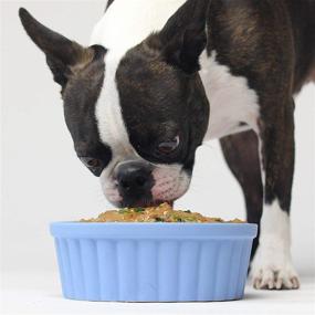 img 2 attached to 🐶 Grain-Free Rustic Stew Wet Dog Food by Open Farm: Responsibly Sourced Meat, Superfoods, No Artificial Ingredients – Perfect as Meal or Food Topper!