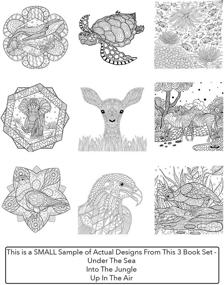 img 2 attached to Set of Three Adult Coloring Books: Sky, Land, and Sea Designs for Relaxation