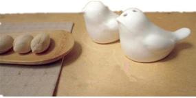 img 1 attached to 🐦 Windspeed Love Bird Salt and Pepper Shakers: Perfect Gift in an Elegant Caster Gift Box