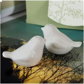 img 4 attached to 🐦 Windspeed Love Bird Salt and Pepper Shakers: Perfect Gift in an Elegant Caster Gift Box