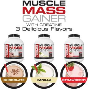img 2 attached to Labrada Nutrition Muscle Gainer Vanilla