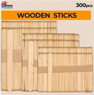 popsicle stick 300pcs premium quality logo