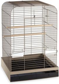 img 3 attached to 🐦 Prevue Hendryx 124PUT Pet Products Madison Bird Cage: Putty with 5/8" Wire Spacing - The Perfect Home for Your Feathered Friend