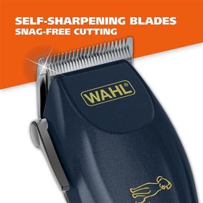 img 2 attached to 🐶 Wahl Deluxe Pro Series Lithium-Ion Rechargeable Pet Clipper Grooming Kit – Low Noise & Heavy Duty Motor for Cordless Electric Trimming & Shaving Dogs (Model 9591-2100)