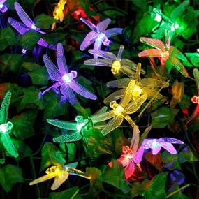 img 3 attached to 🌼 DINOWIN Dragonfly Lights, 6M/20FT 30 LED Solar String Lights with 8 Modes Waterproof for Outdoor, Garden, Christmas Decorations (Multicolor)