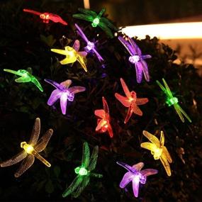 img 4 attached to 🌼 DINOWIN Dragonfly Lights, 6M/20FT 30 LED Solar String Lights with 8 Modes Waterproof for Outdoor, Garden, Christmas Decorations (Multicolor)