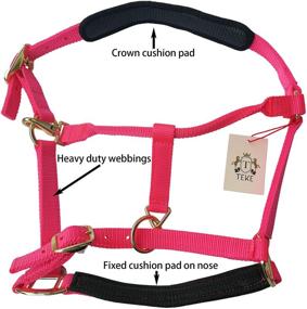 img 2 attached to Cushioned Padding TEKE Horse Halter: Adjustable and Comfortable for Equine Care